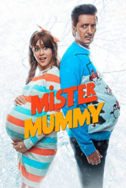 Mister Mummy